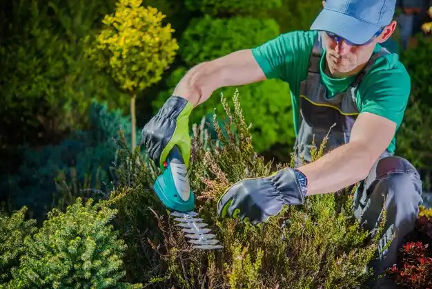landscaping services Maben